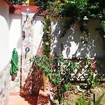 A garden in the city - Un giardino in centro città