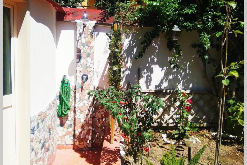 A Garden In The - Un Giardino In Centro * Naples